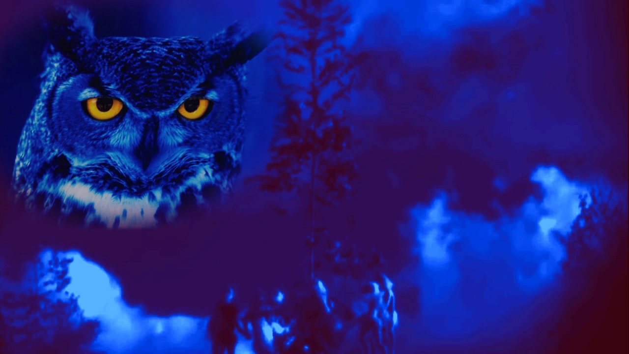 Blue Owl Witch Fire 2