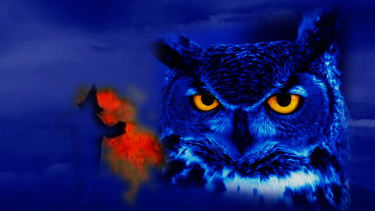 Blue Owl Witch Fire 1