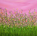 Blushing Confetti Meadows #7