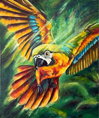 Born to Soar