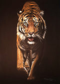 Tiger -Royal Original Large Pastel Painting Portrait ART SIGNED Deimante Bruzguliene