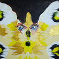 Butterfly Portrait Pine Emperor 317