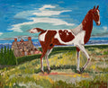 Wild mustang , pinto horse in a landscape at Deauville, Normandy