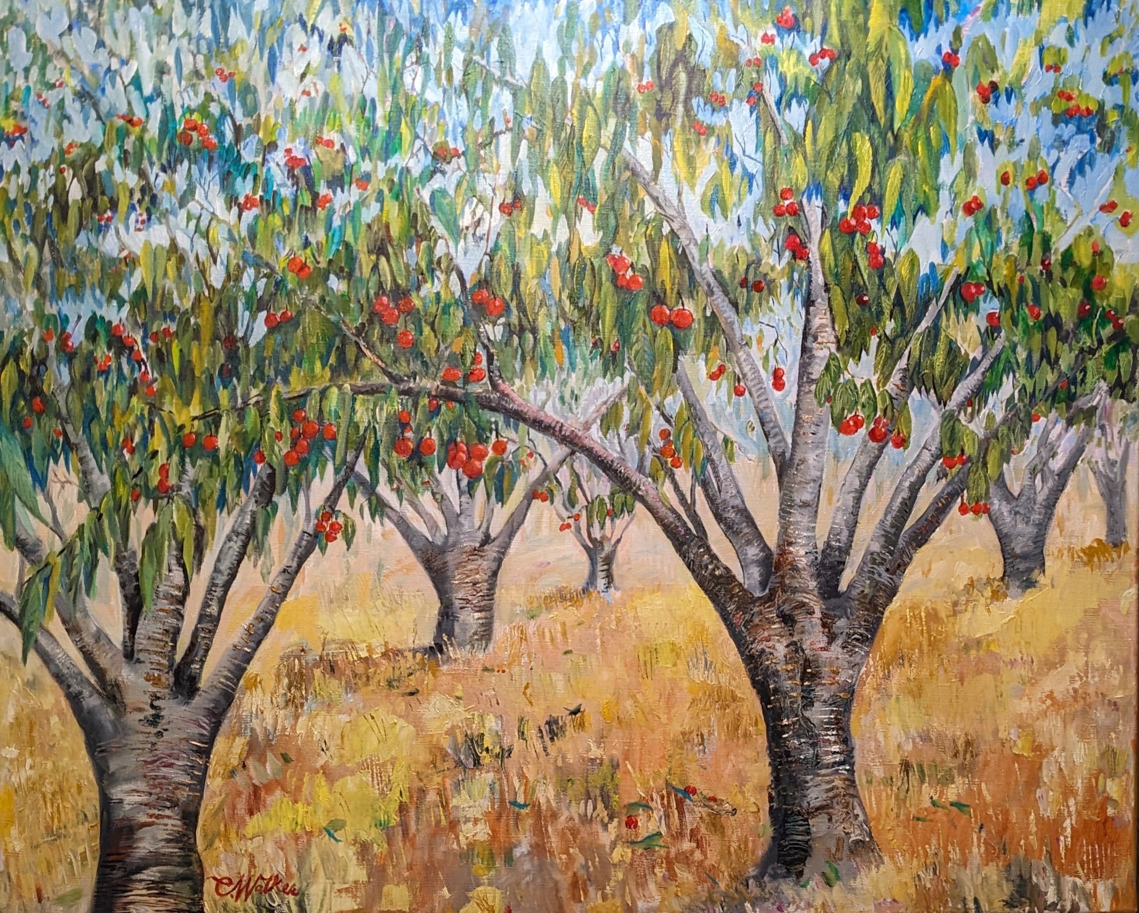 Cherry Time