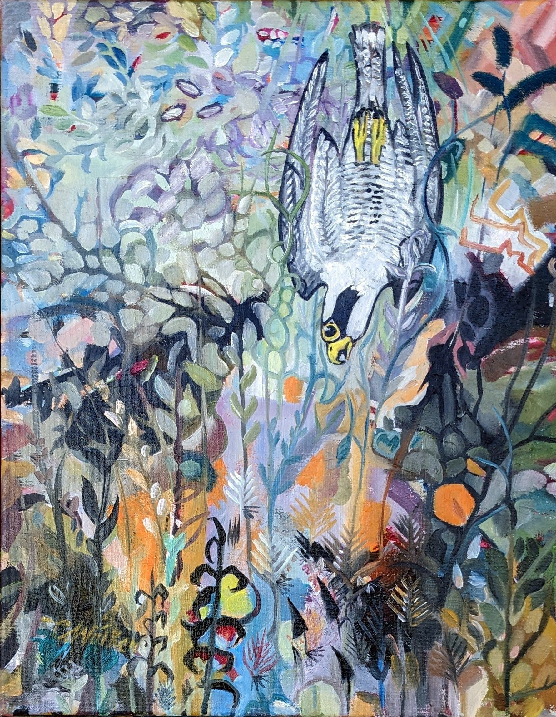 Peregrine
