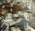 Camomile