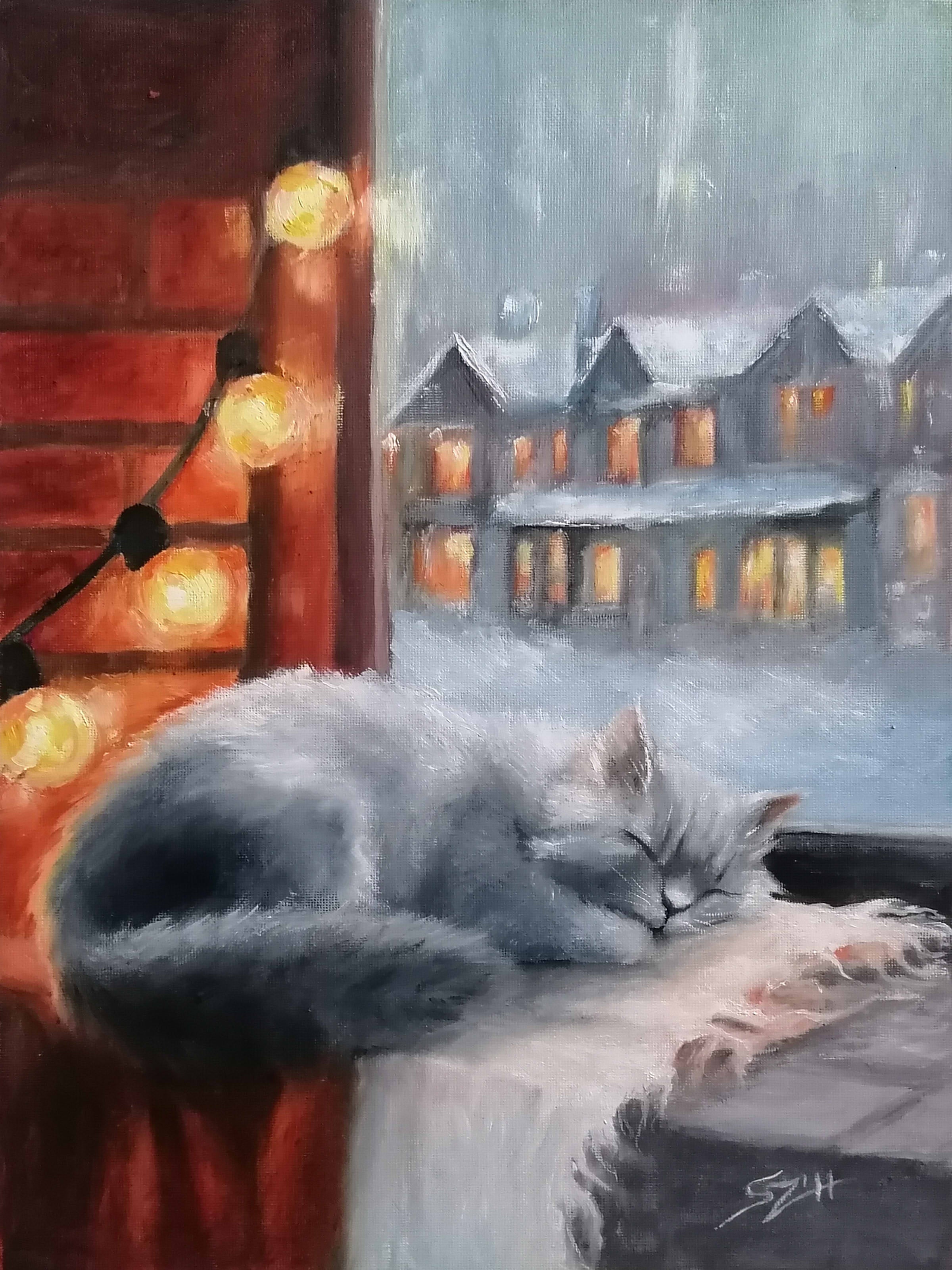 Cat Having a Nap