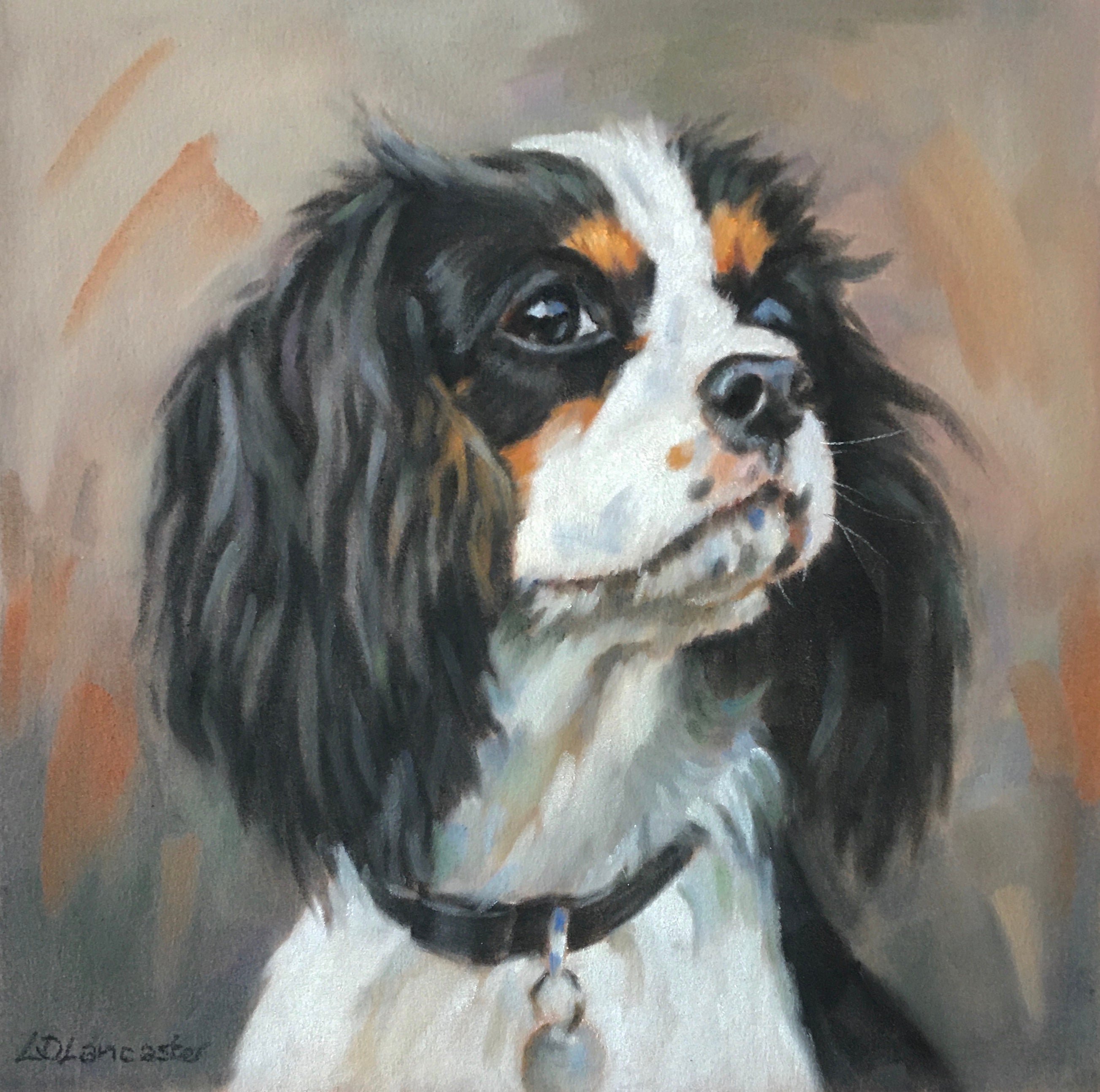 Cavalier King Charles Spaniel