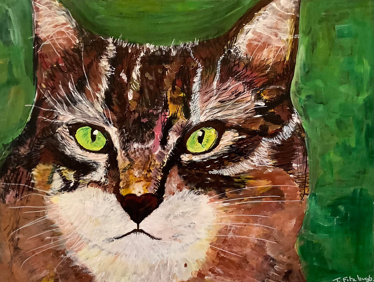 Grumpy Cat
