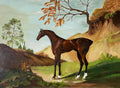 A dark bay thoroughbred in a landscape.