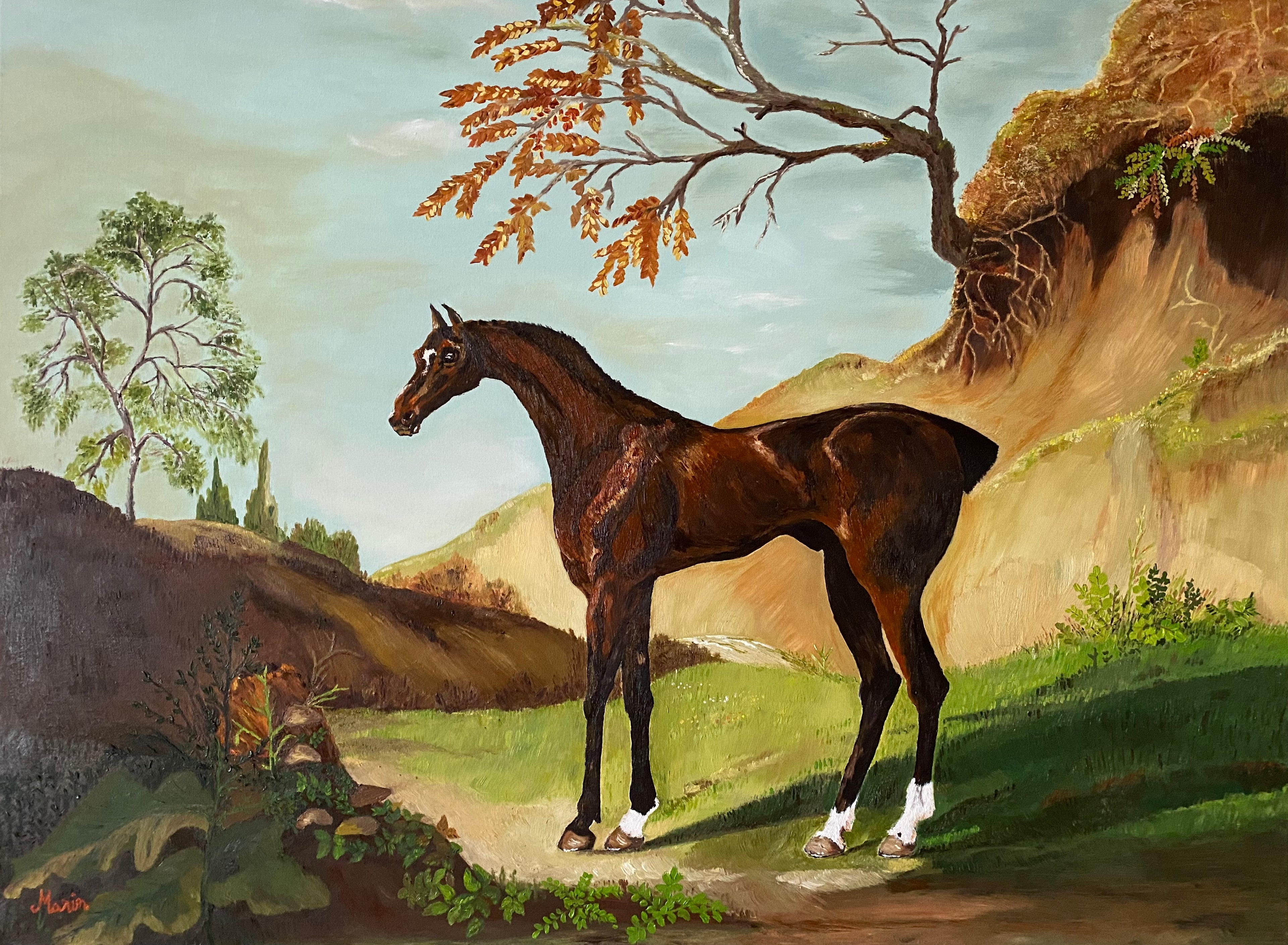 A dark bay thoroughbred in a landscape.