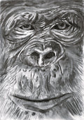 Gorilla print