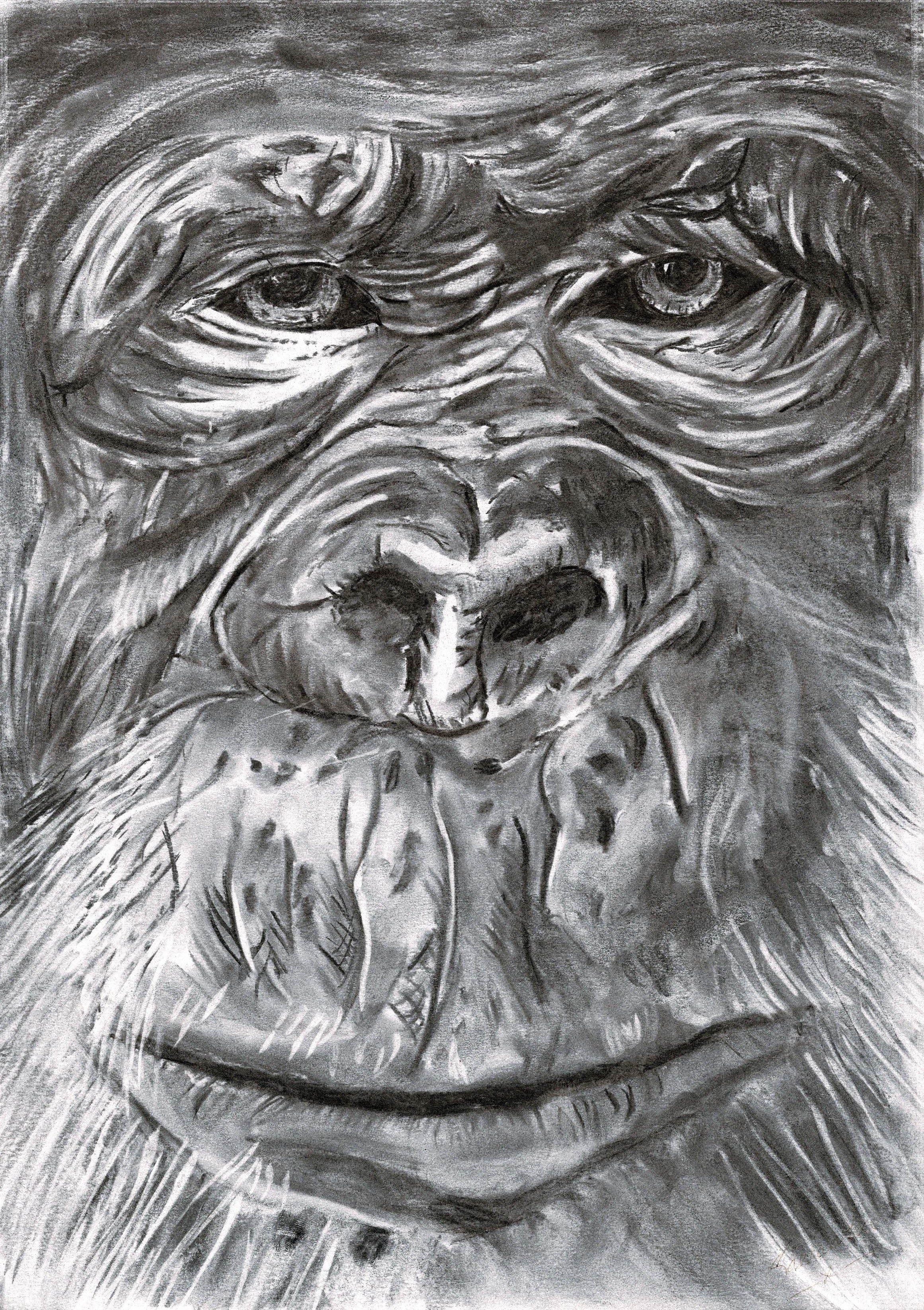 Gorilla print