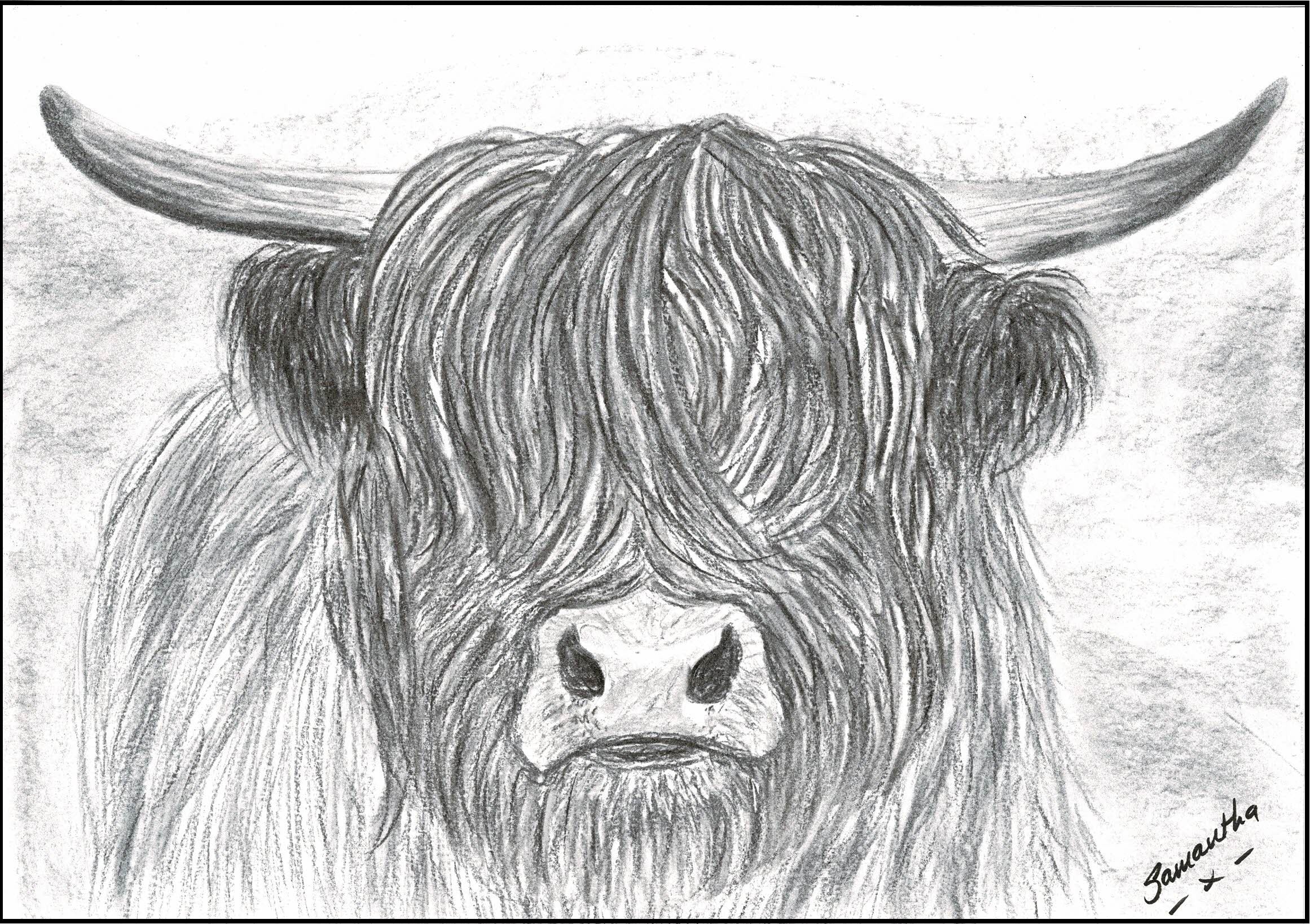 Highland cow print