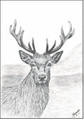 Red deer stag print