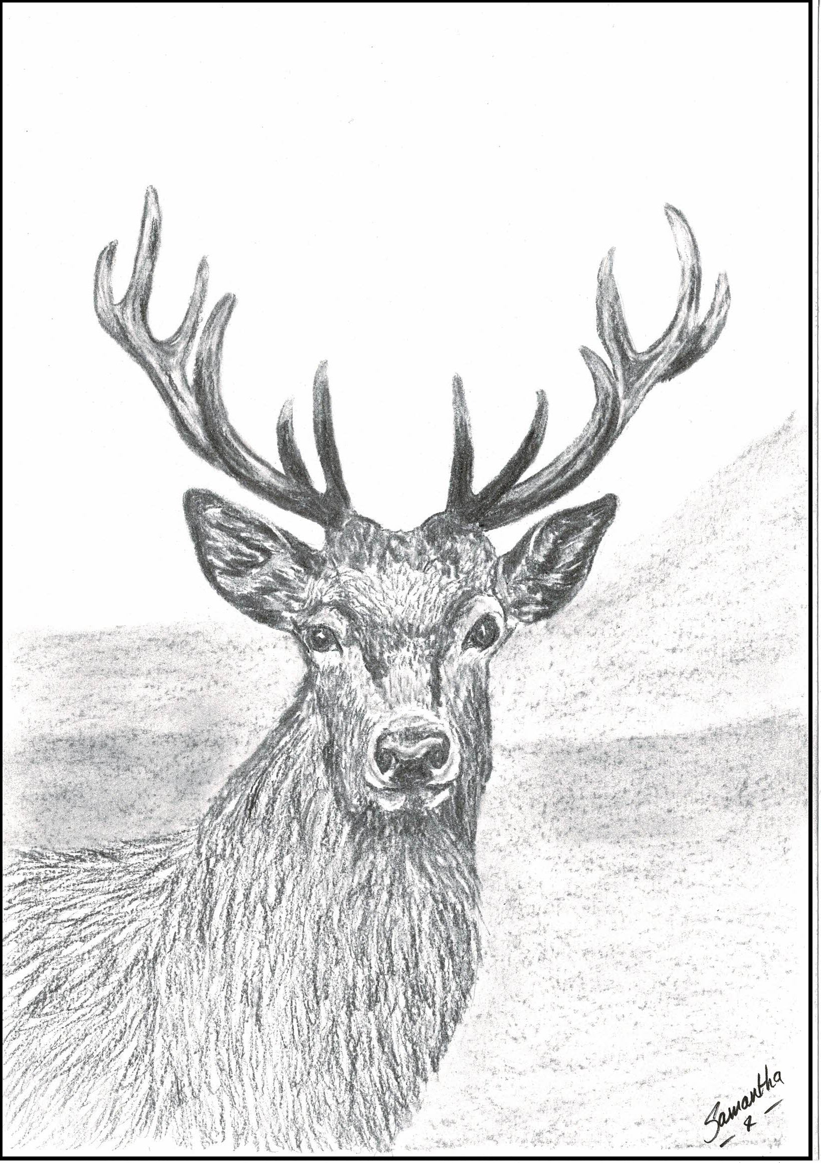 Red deer stag print