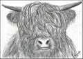 Highland cow print