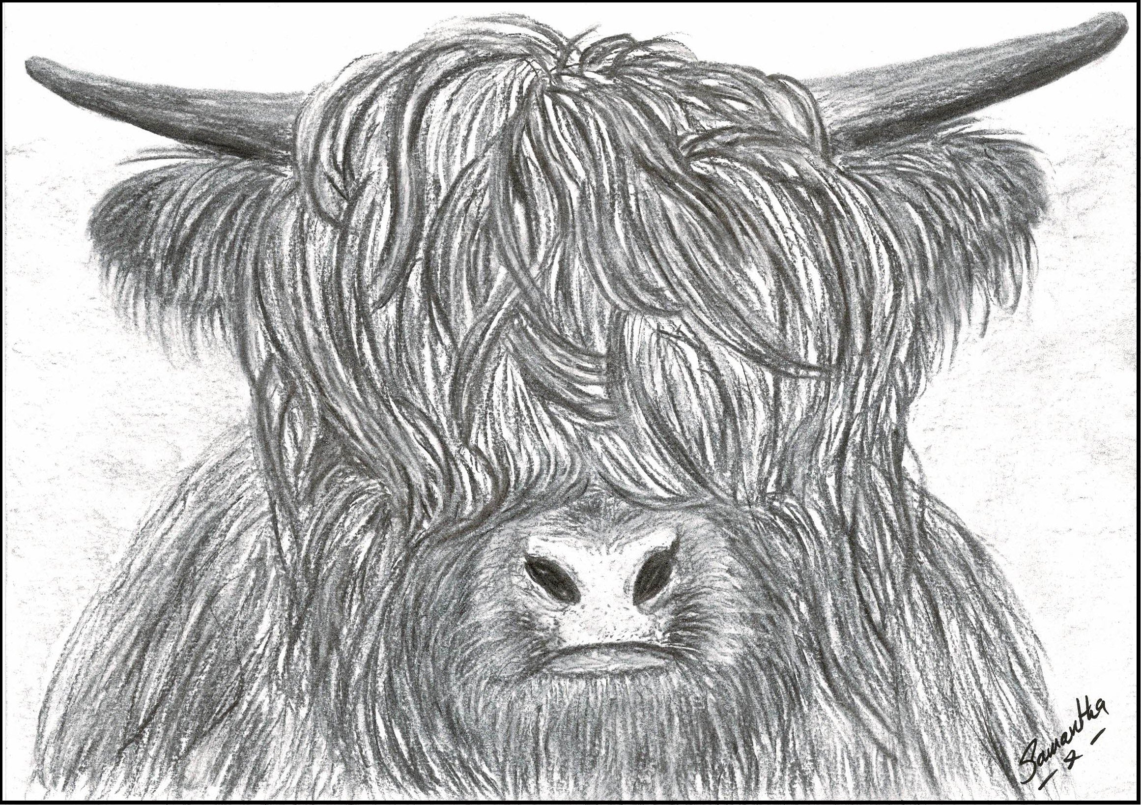 Highland cow print