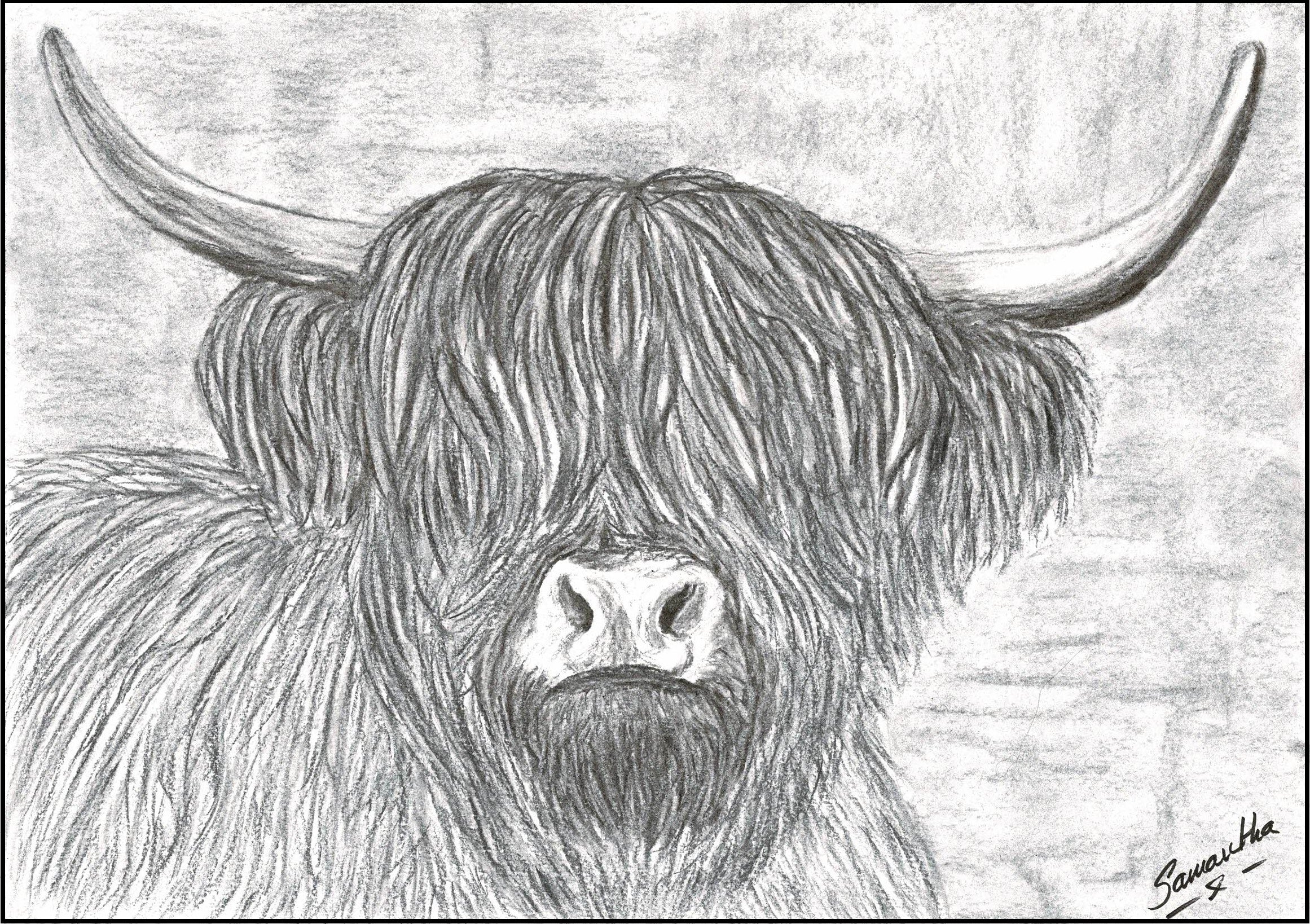 Highland cow print