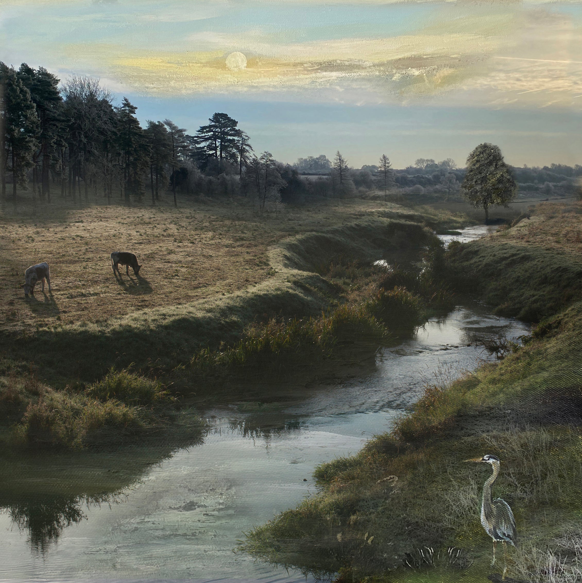The Heron's Grace