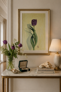 Tulip