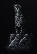 MOONLIGHT PROTECTOR