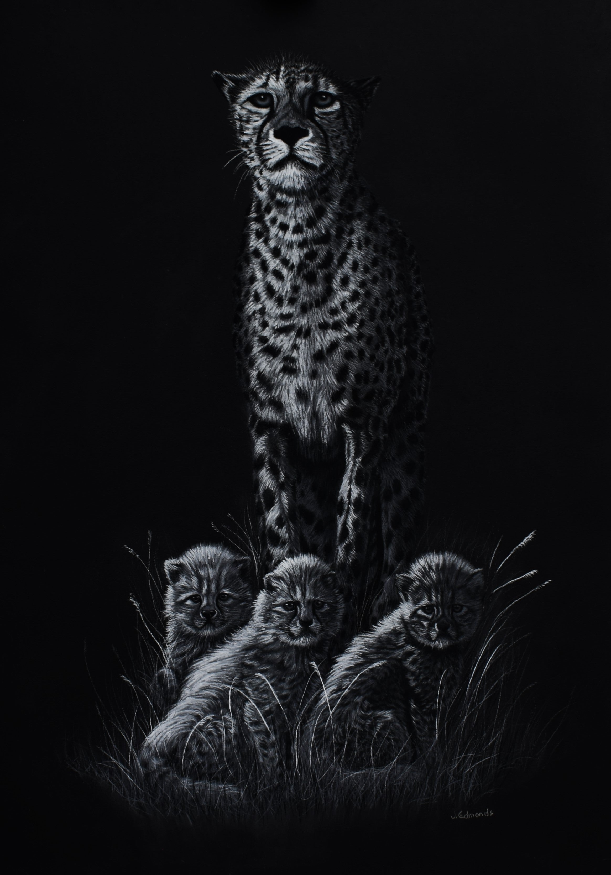 MOONLIGHT PROTECTOR