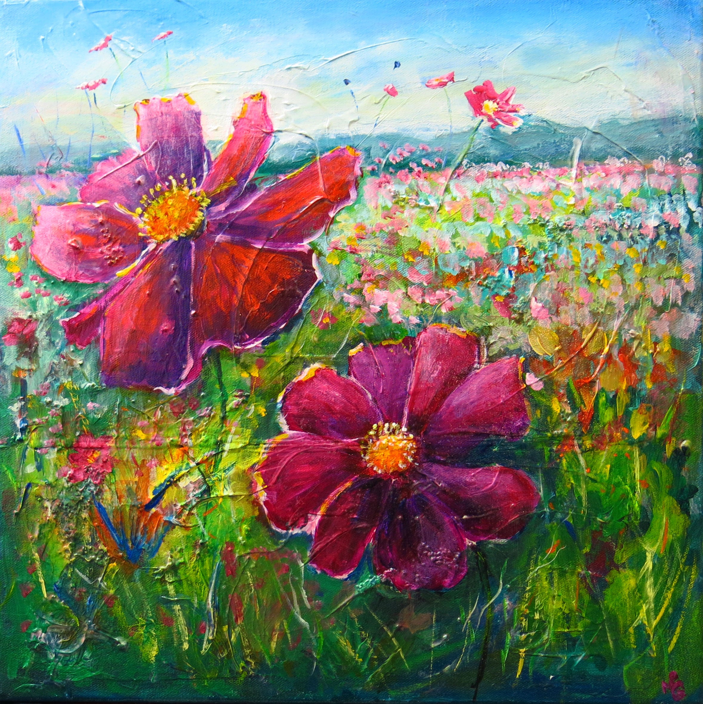 Pink Cosmos