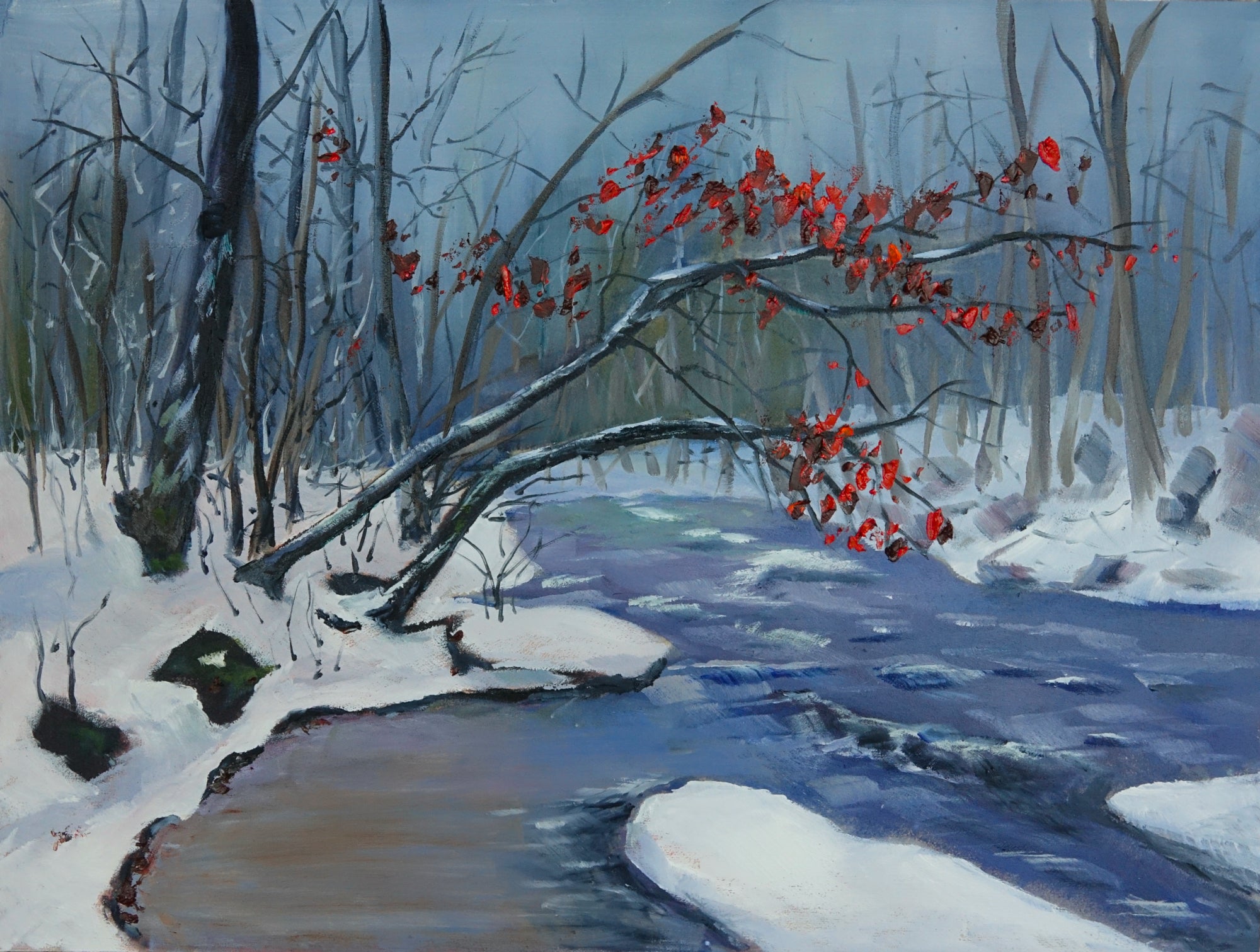 Colours of Winter