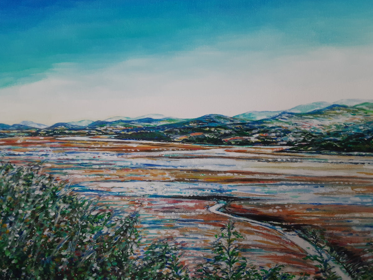 A View of Conwy Estuary
