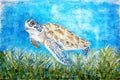 Mama Turtle