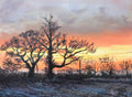 Crisp Winter Sunset