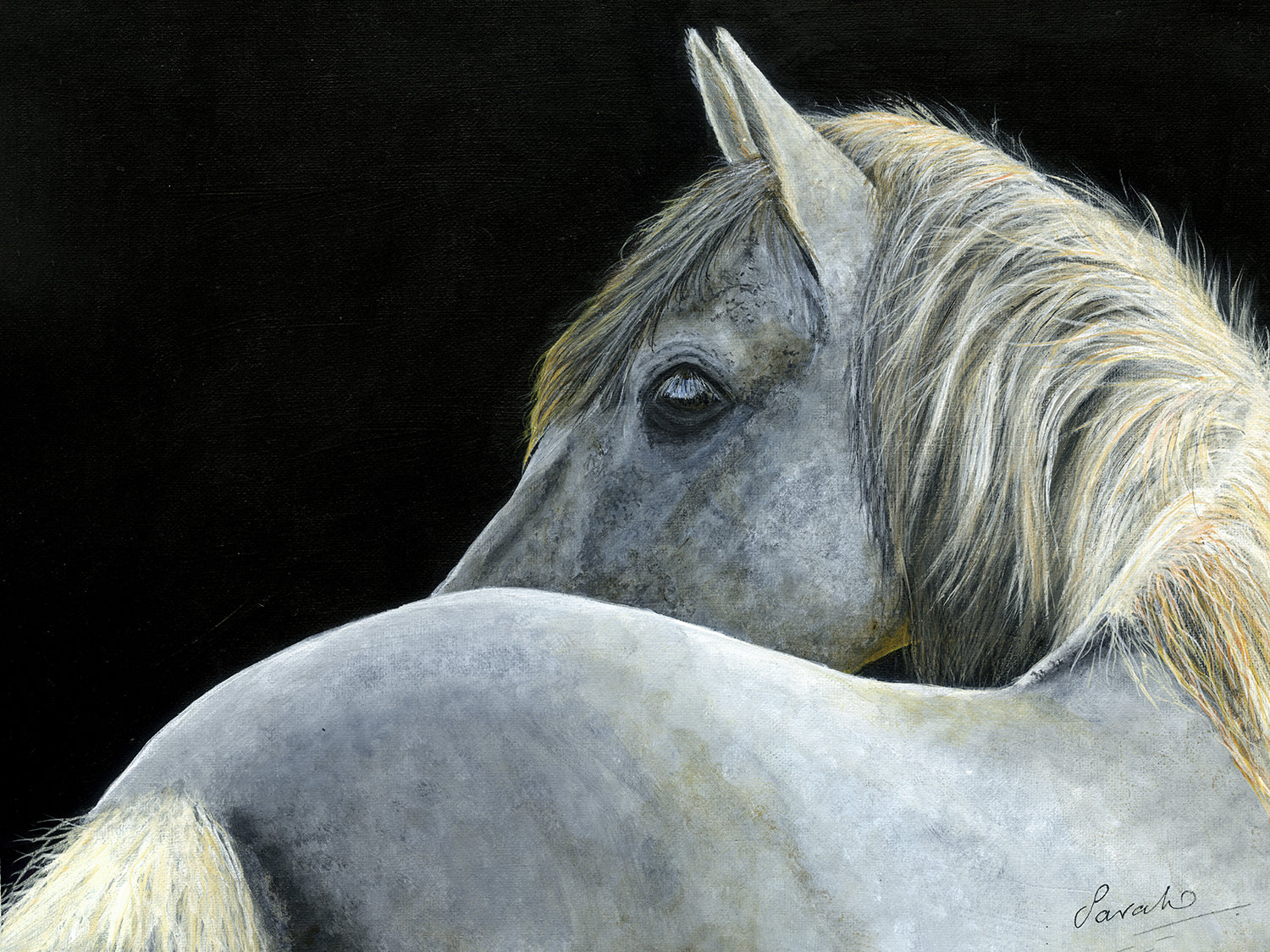 Dappled Grey