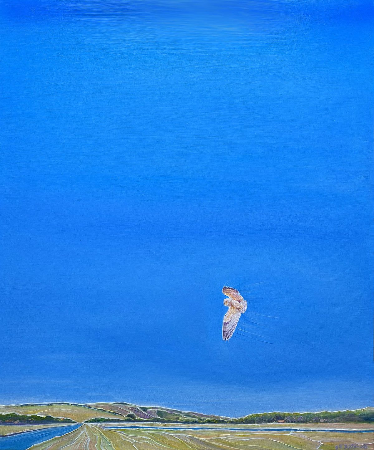 Cuckmere Haven Landscape with Owl