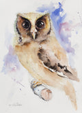 Cute Owl