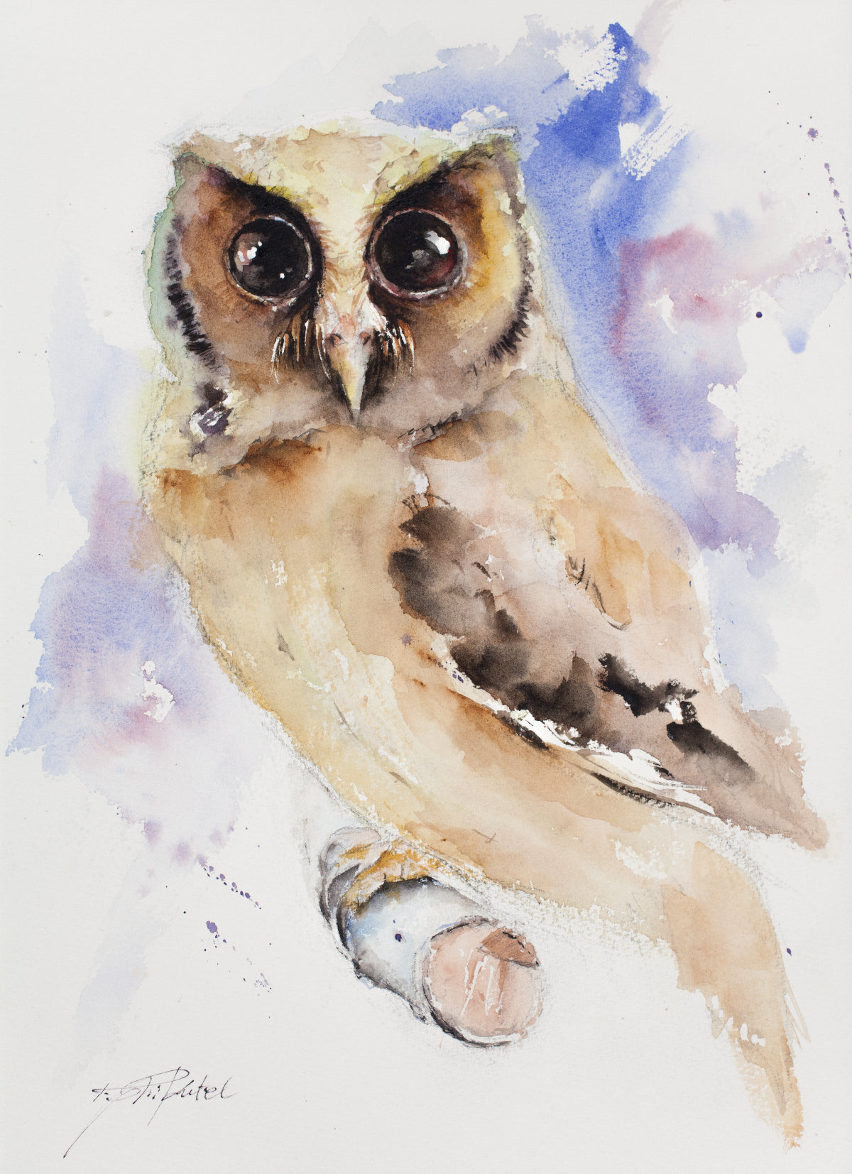 Cute Owl
