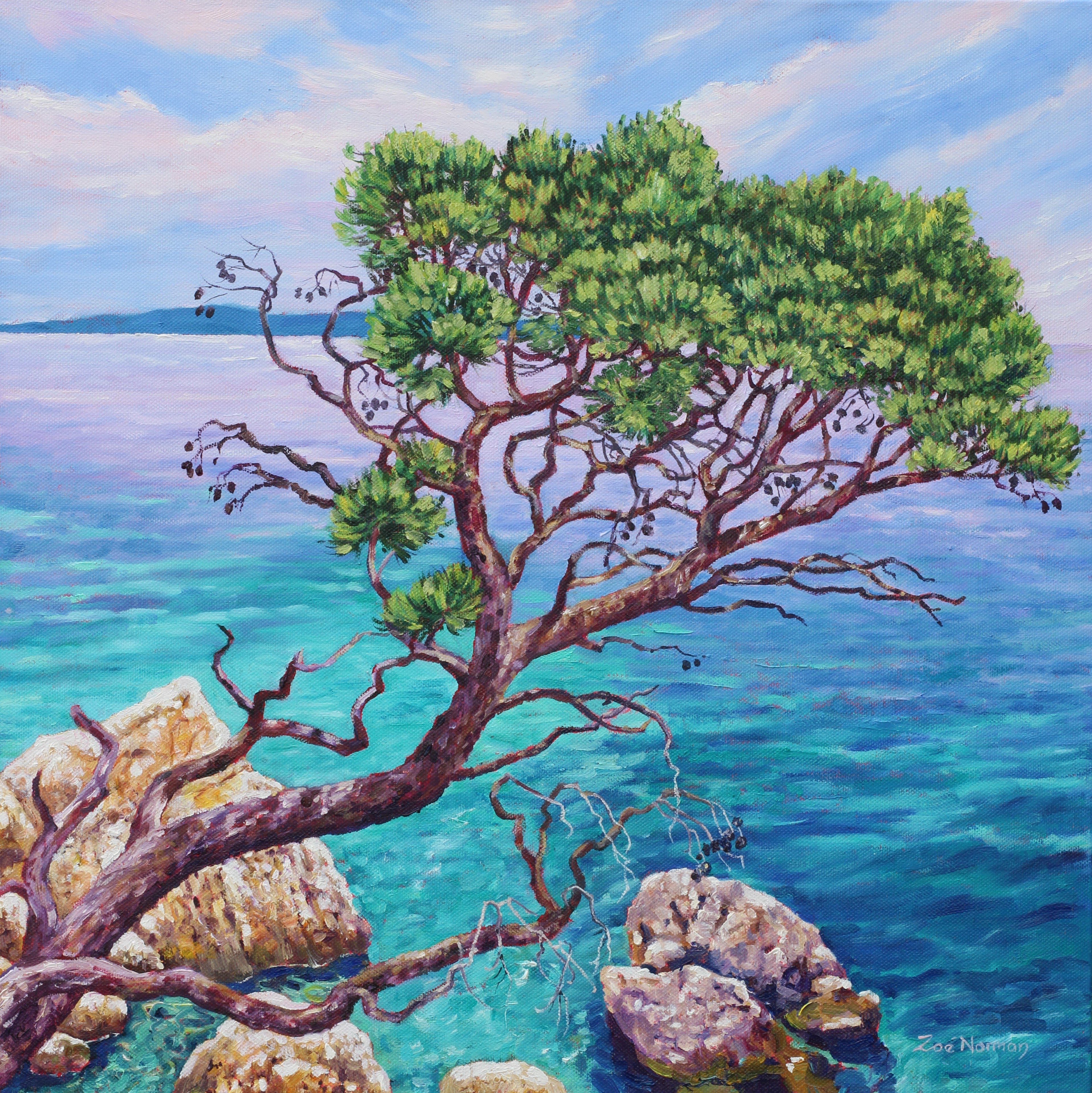 Cypress by the Sea