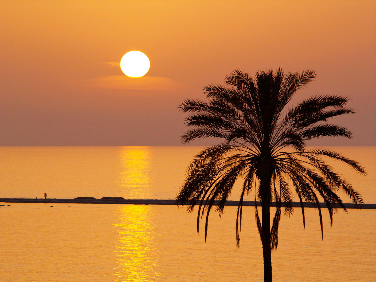 Palm Sunset, Cyprus