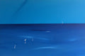 “Deep Blue” 77x51x2cm