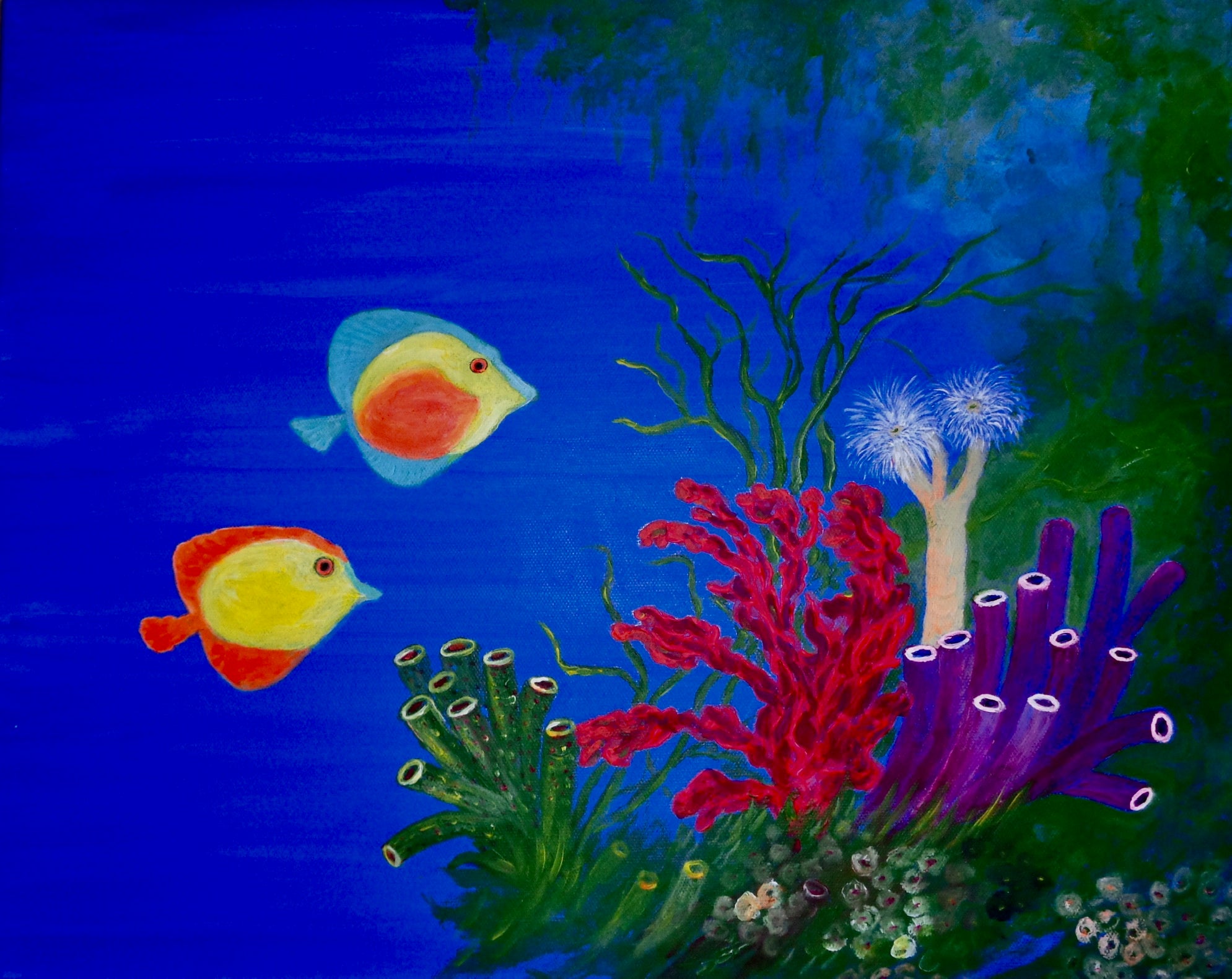 Coral Reefs