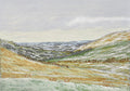 Snowy Brecons