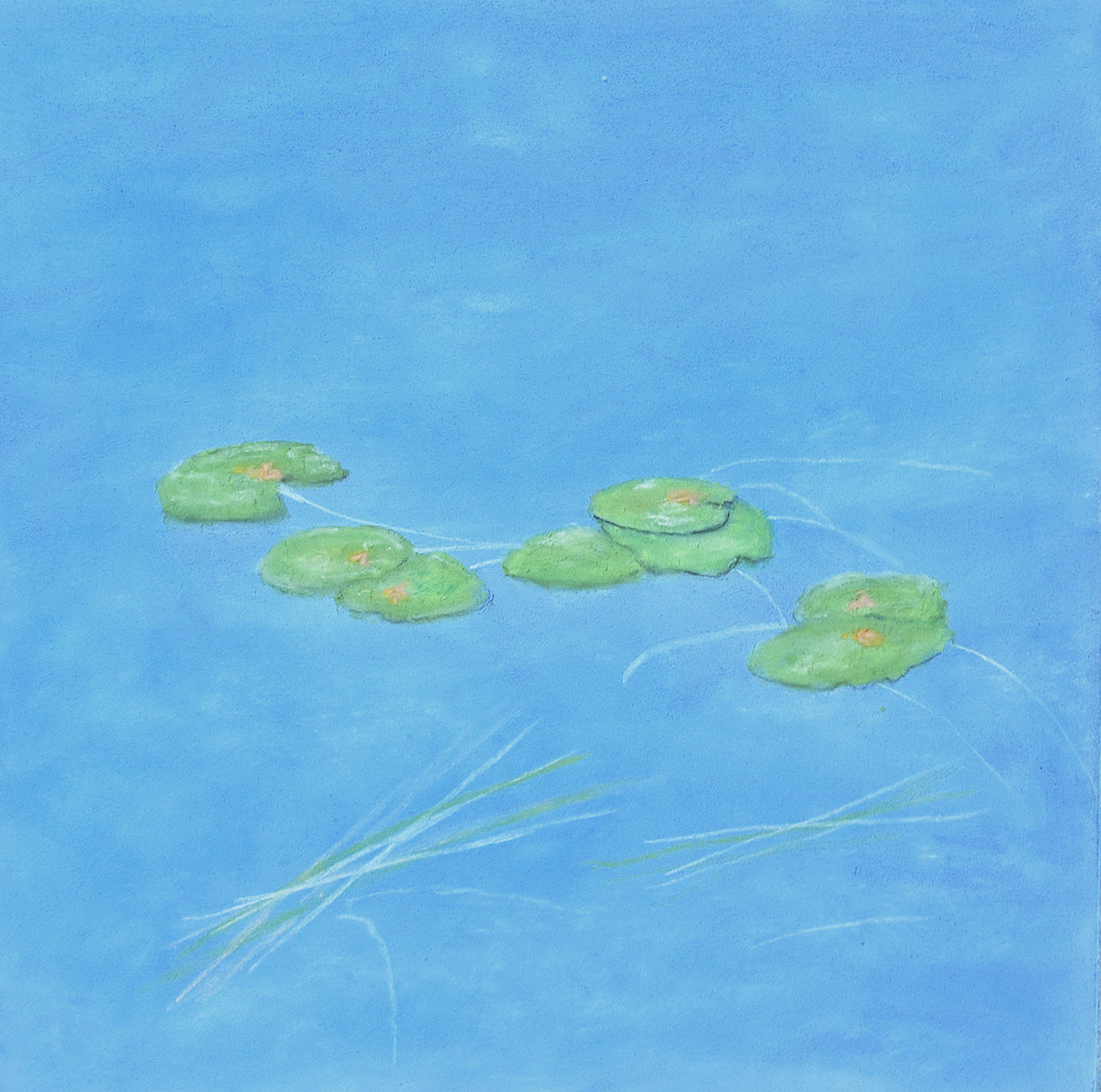 Water Lilies