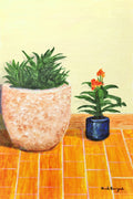 Patio, Agave and Canna