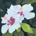 Pink Hibiscus