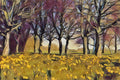 Daffodils in Park