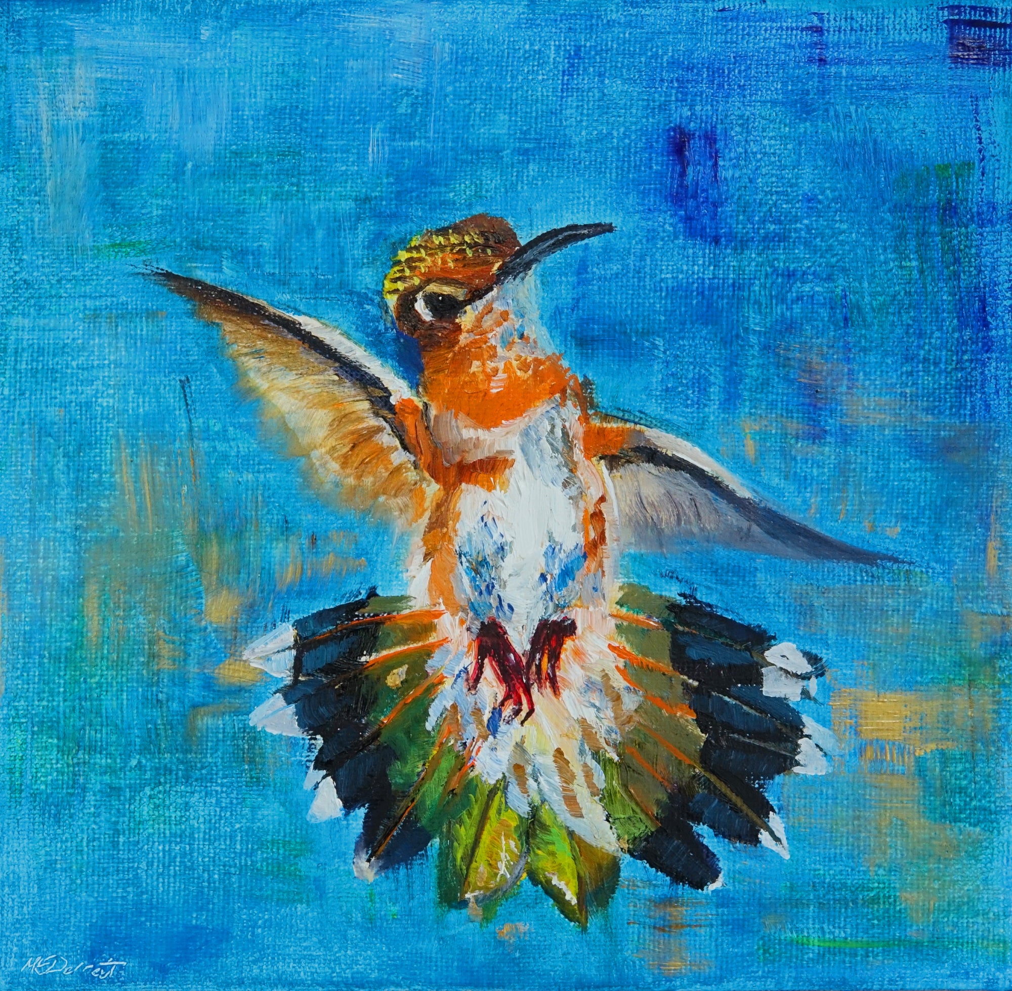 Dancing Hummingbird