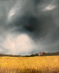 Dark Skies