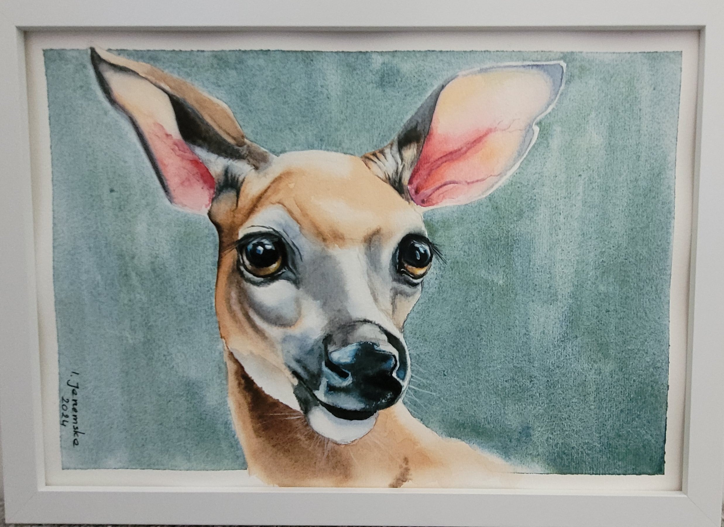 Beautiful Doe