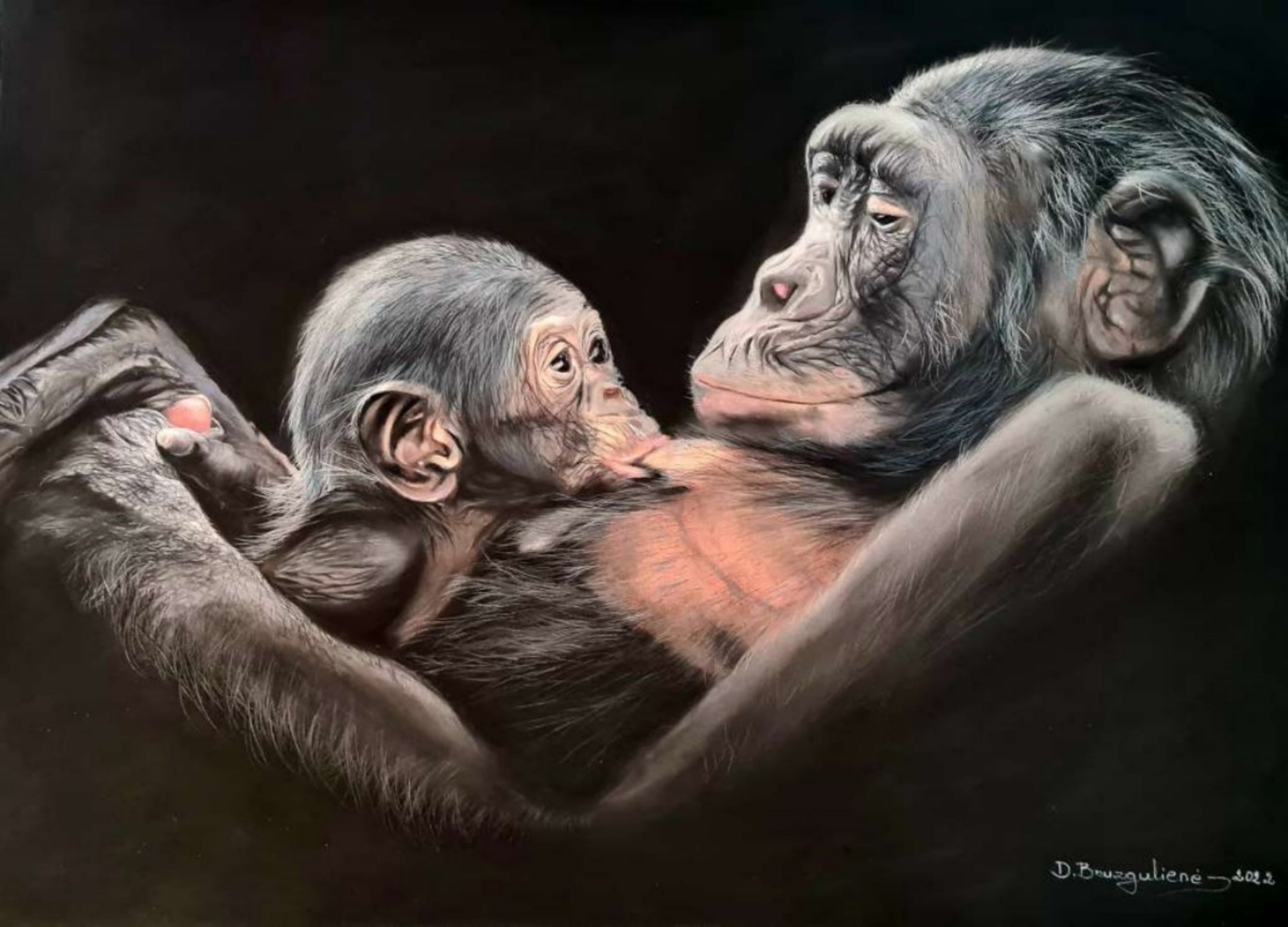 Gorillas - Original Large Pastel Painting Portrait ART SIGNED Deimante Bruzguliene