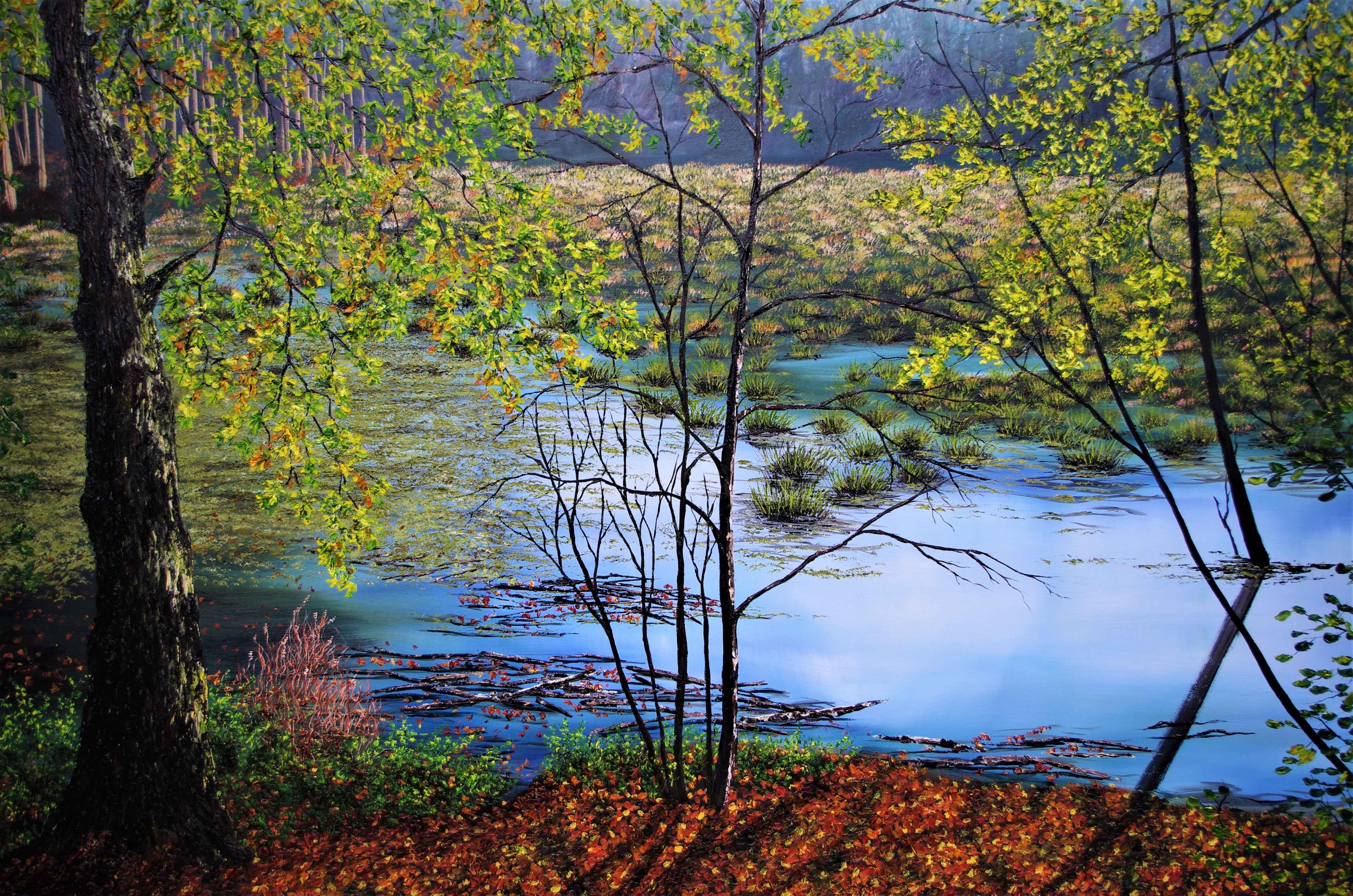 Dealamere Moss in Autumn